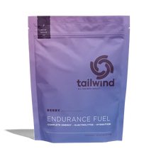 Endurance Fuel - 30 serving pack